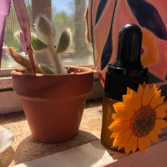 Mojito - Essential Oil Blend - Picture 9 of 13
